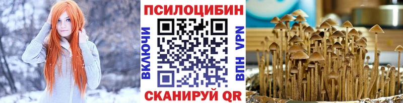 Псилоцибиновые грибы прущие грибы  цены   Галич 